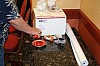 RBCC_A_015_IMG_0714.JPG